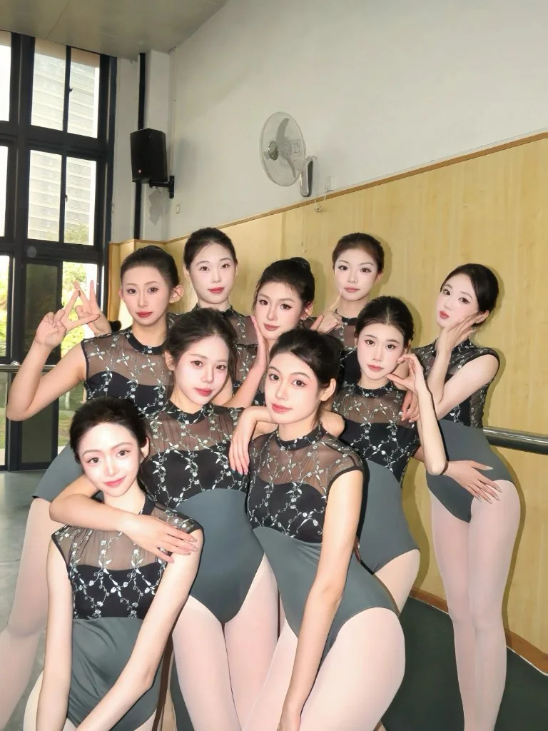 在艺校放校园贷 封面
